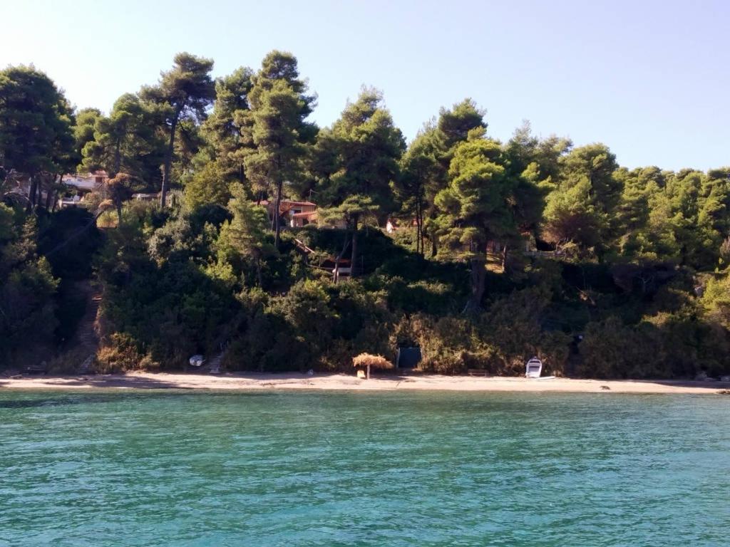 And Blue View *