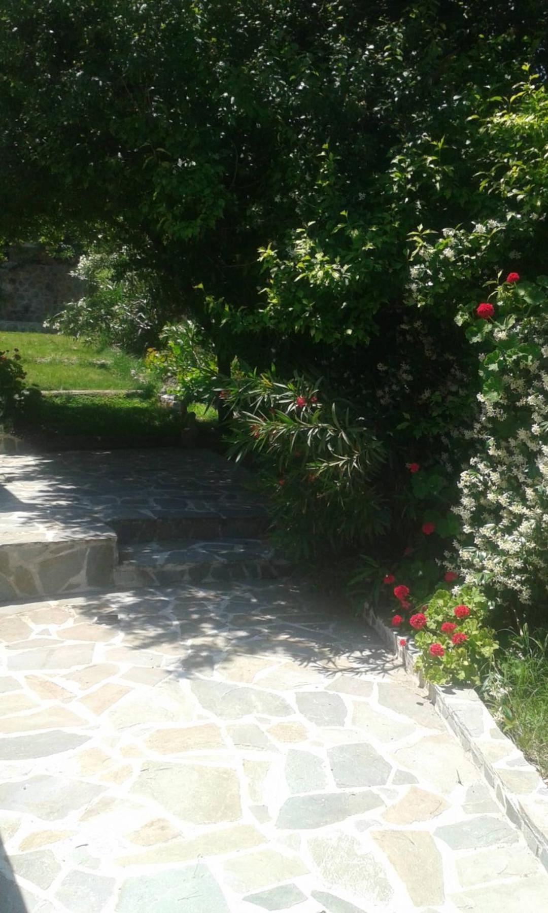 And Blue View * Ellinika (Evia)